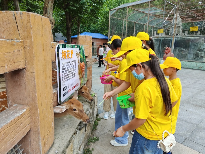 動(dòng)物園喂食小動(dòng)物.jpg